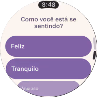 Entradas recentes no Wear OS